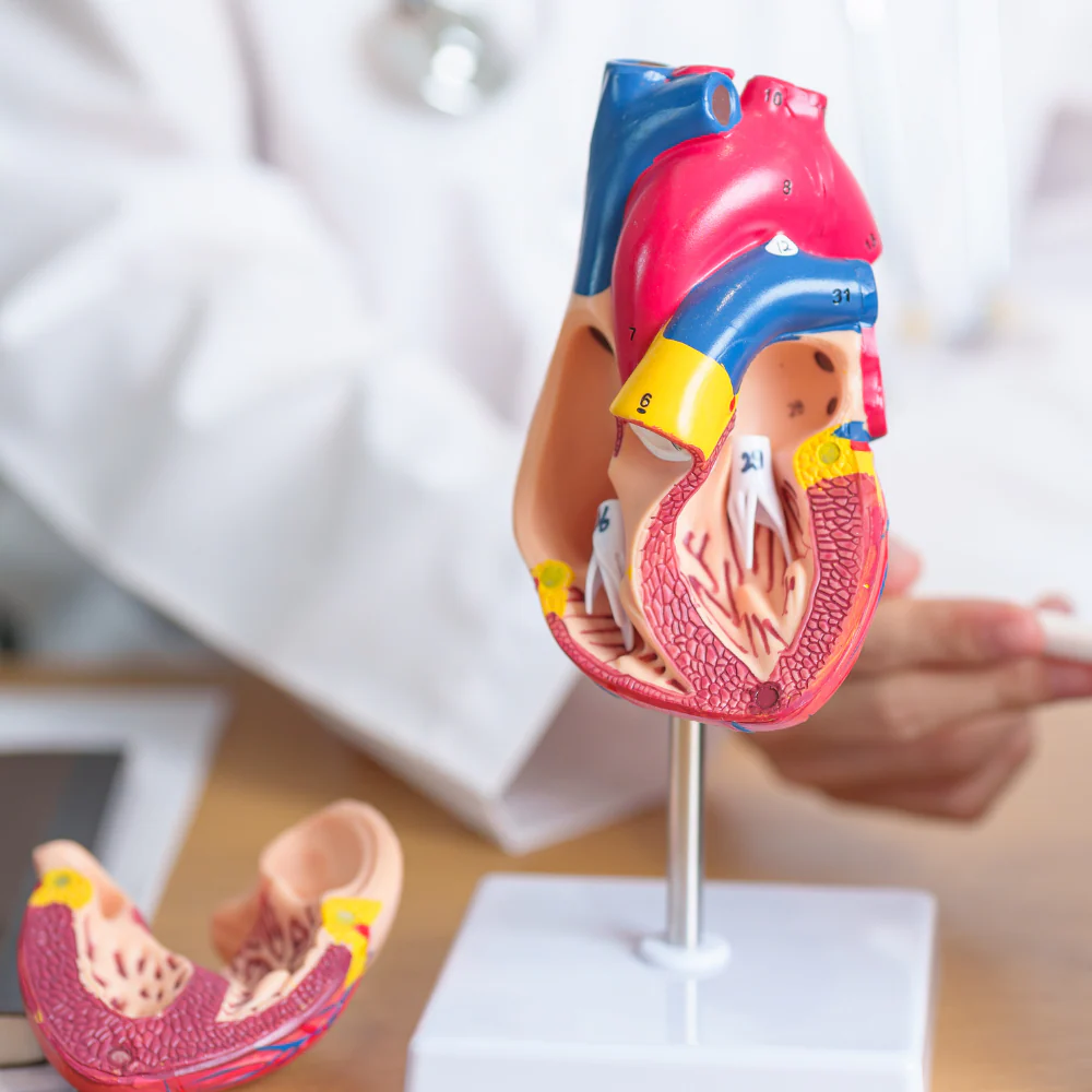 Congenital Heart Disease Catheterization